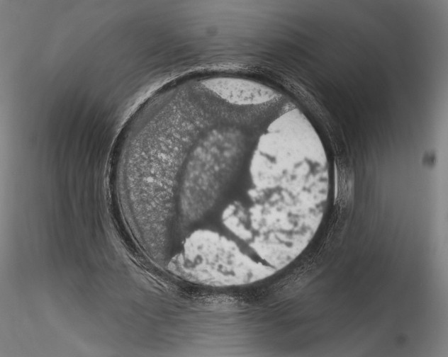 X0000115320483200911301602