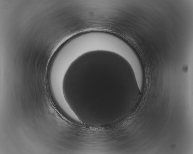 X0000115320484200911301602