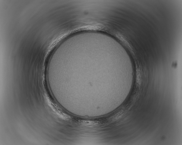 X0000115320486200911301602