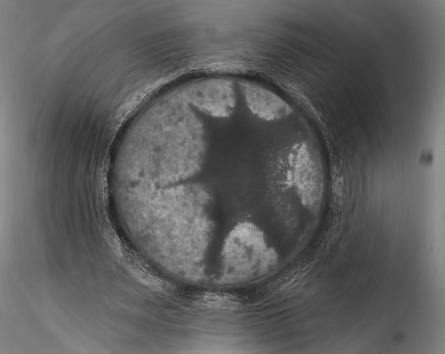 X0000115320487200911301602