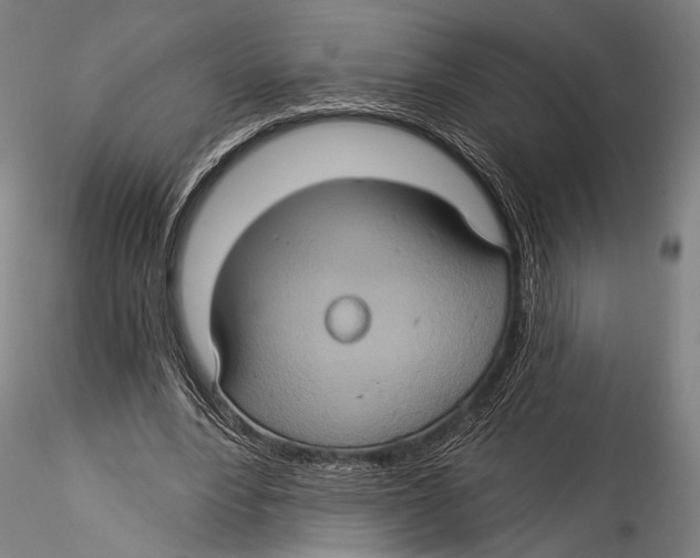 X0000115320488200911301602