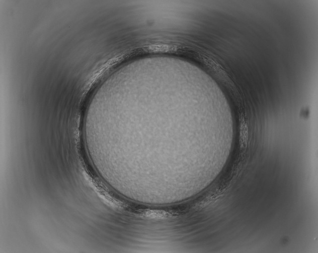 X0000115320490200911301602