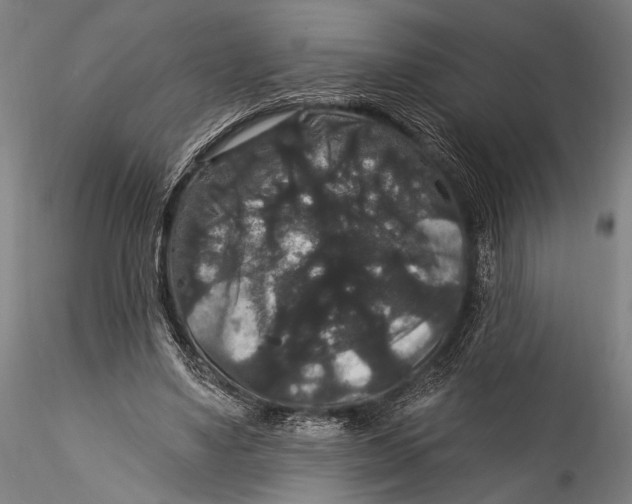 X0000115320491200911301602