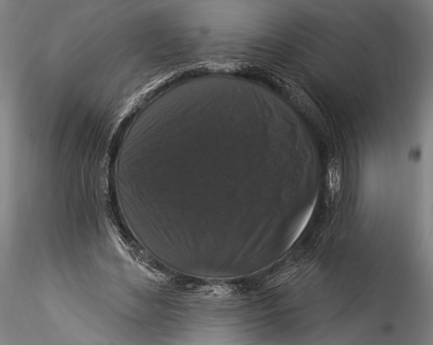 X0000115320492200911301602