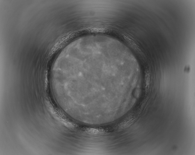 X0000115320494200911301602