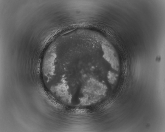 X0000115320495200911301602