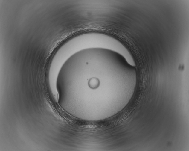 X0000115320496200911301602