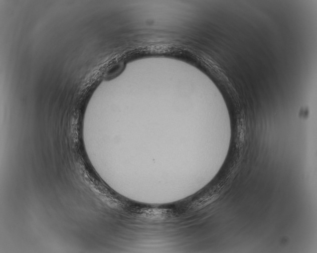 X0000115320497200911301601