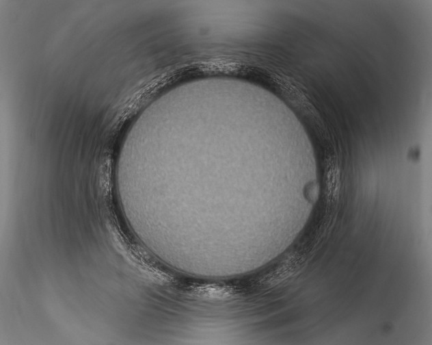 X0000115320498200911301601