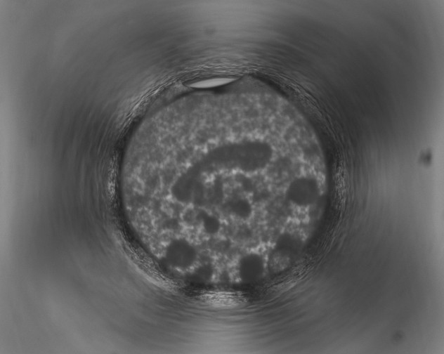 X0000115320499200911301601