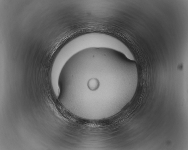 X0000115320500200911301601