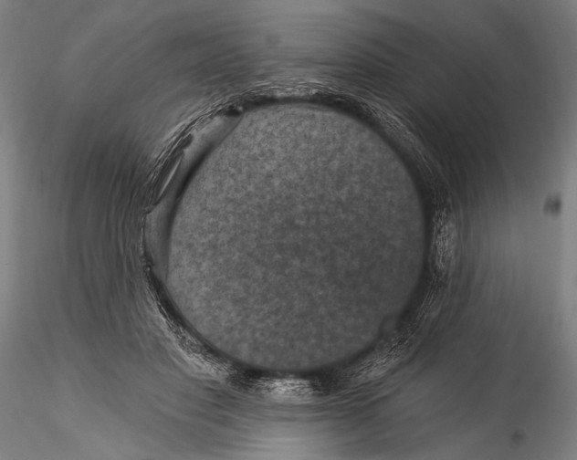 X0000115320501200911301601