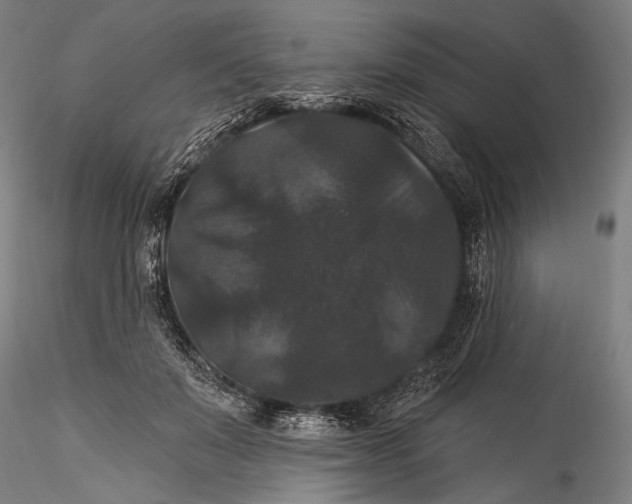 X0000115320503200911301601