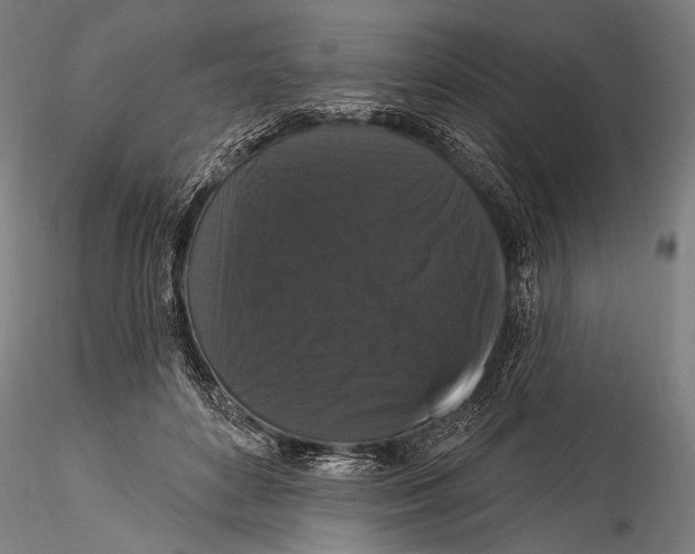 X0000115320504200911301601