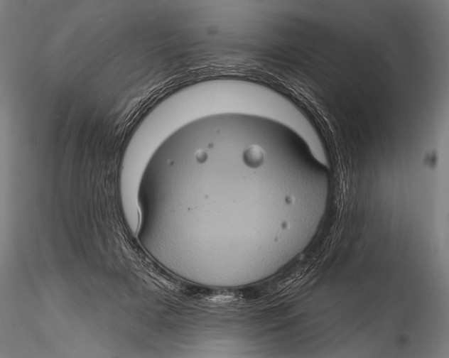 X0000115320505200911301601