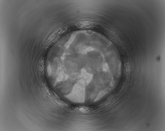 X0000115320506200911301601