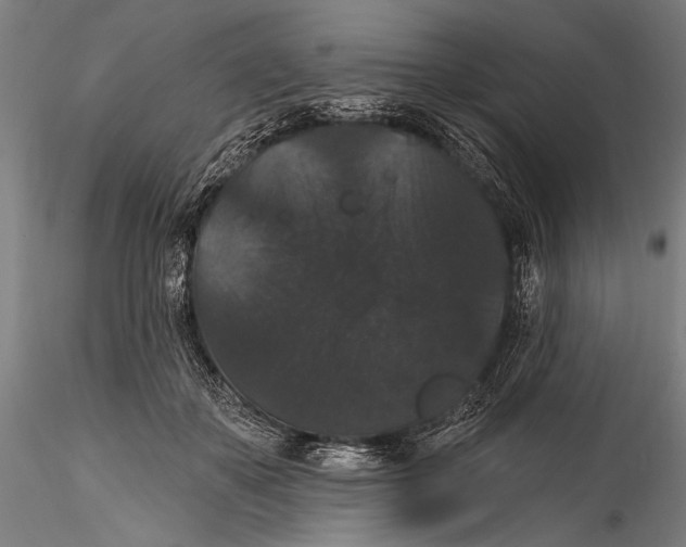 X0000115320507200911301601