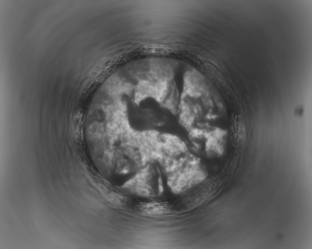 X0000115320511200911301601