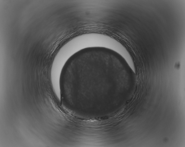 X0000115320512200911301601