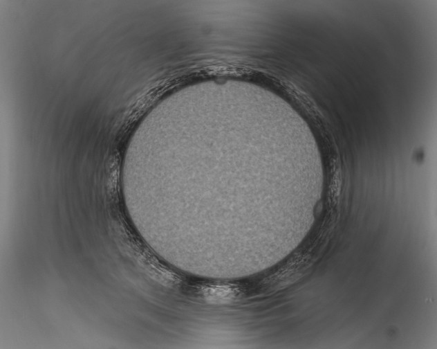 X0000115320513200911301601