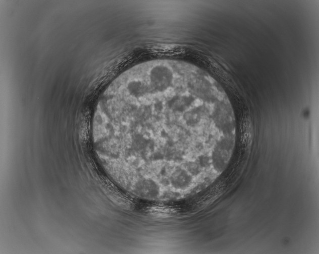 X0000115320515200911301601