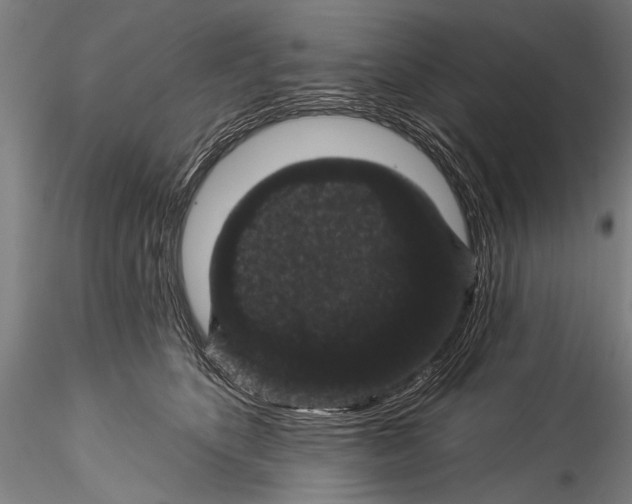 X0000115320516200911301601