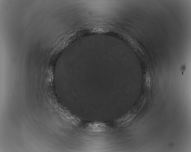 X0000115320517200911301601