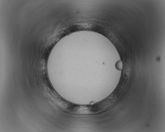 X0000115320518200911301601