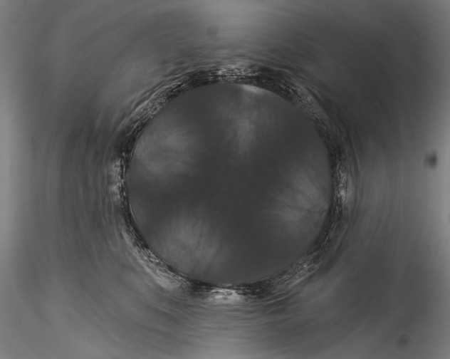 X0000115320519200911301601