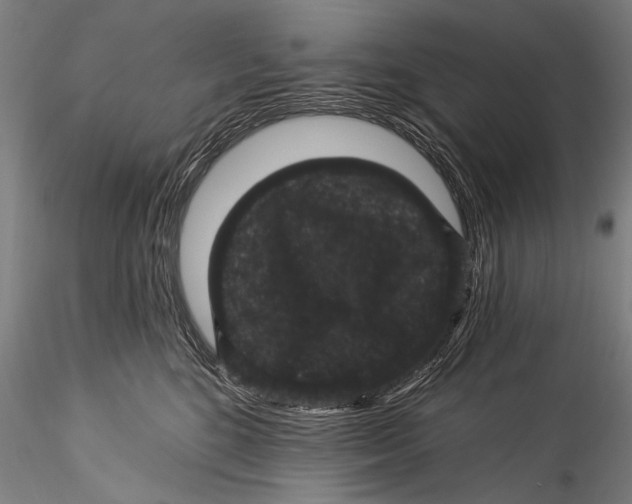 X0000115320520200911301601