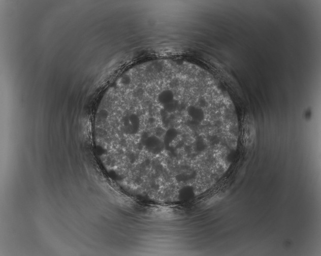 X0000115320523200911301601