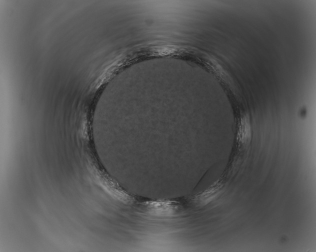 X0000115320524200911301601