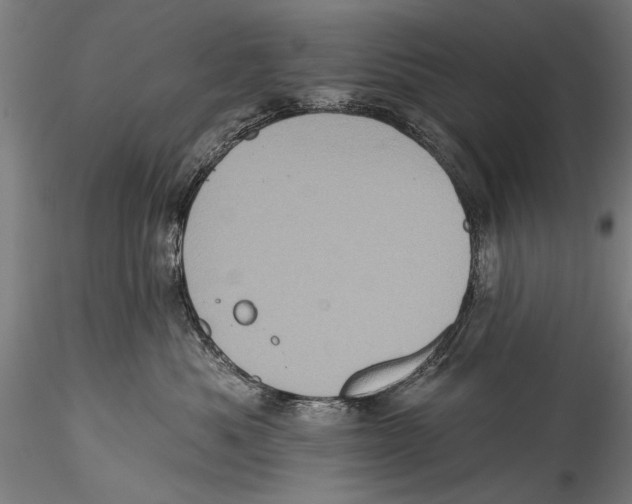 X0000115320525200911301601