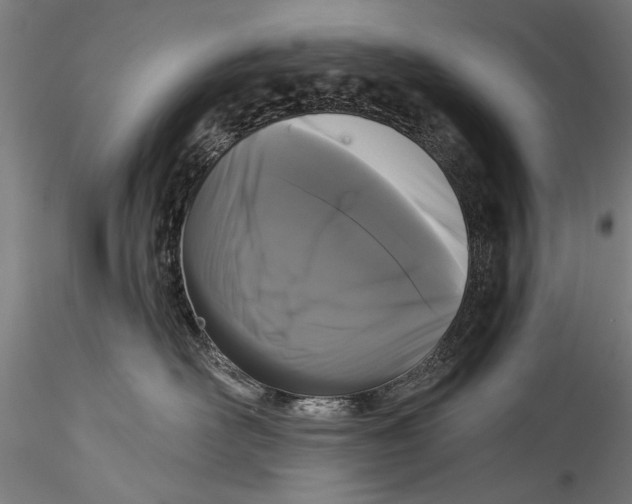 X0000115320526200911301601