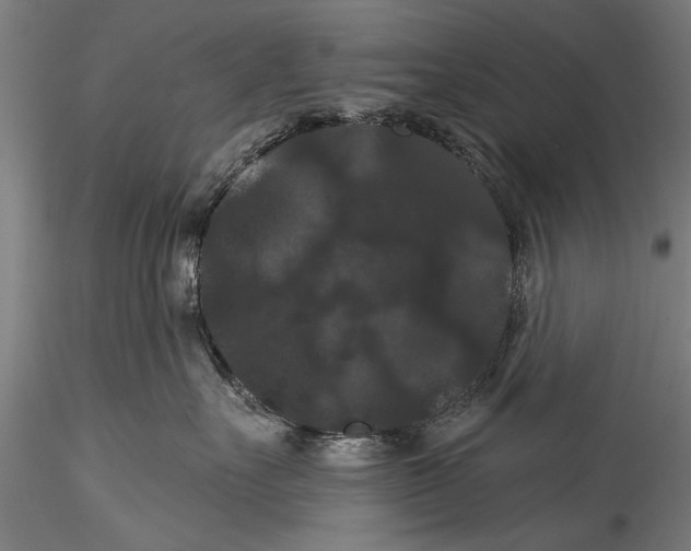 X0000115320527200911301601