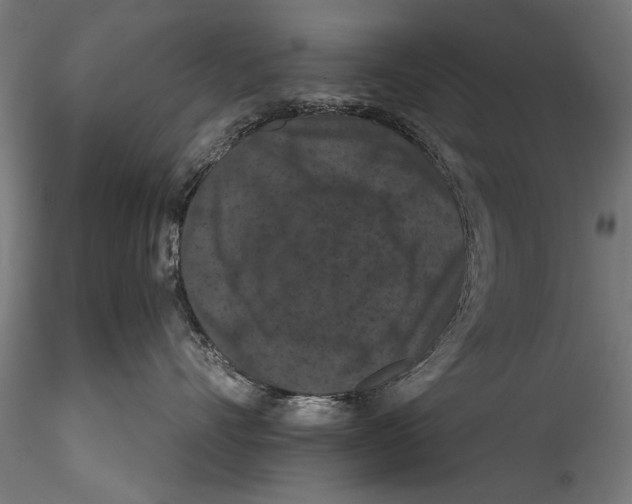 X0000115320528200911301601