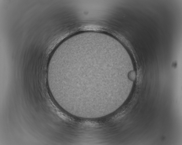 X0000115320529200911301600