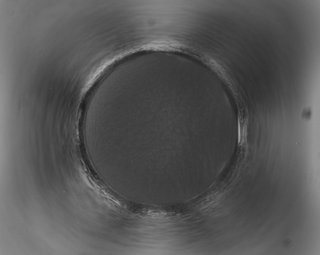 X0000115320531200911301600