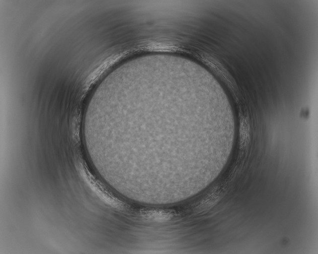 X0000115320533200911301600