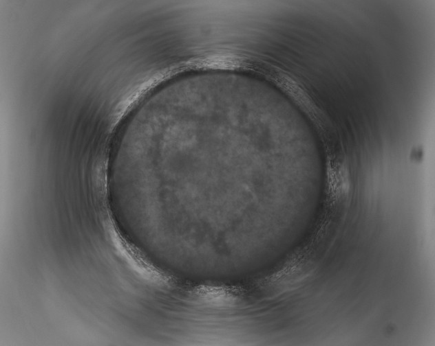 X0000115320534200911301600