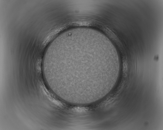 X0000115320537200911301600