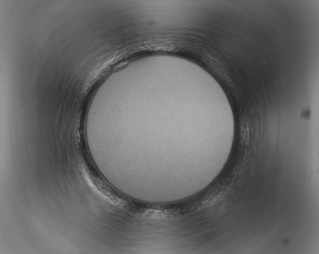 X0000115320538200911301600