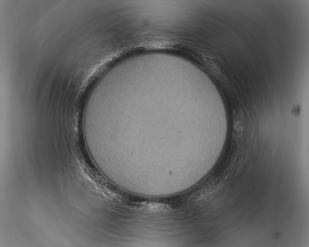 X0000115320539200911301600