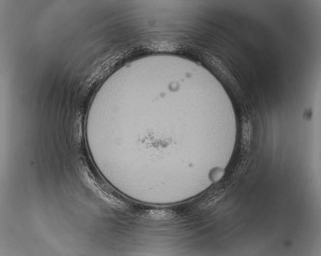 X0000115320541200911301600