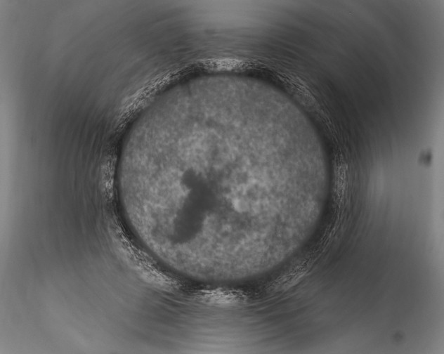 X0000115320545200911301601