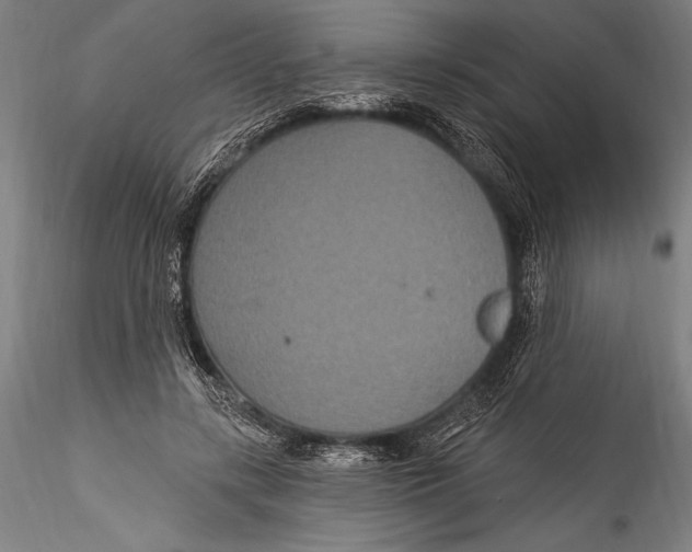 X0000115320547200911301601