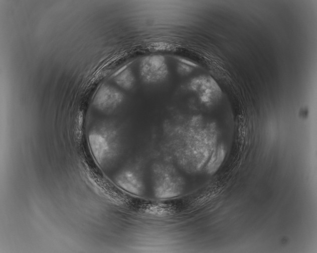 X0000115320550200911301601