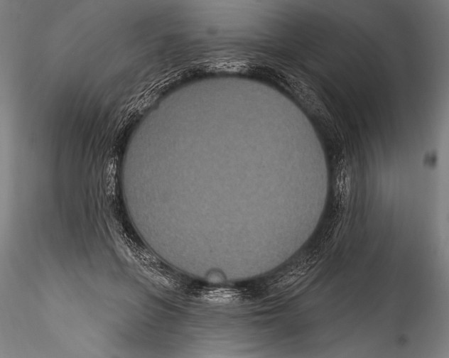 X0000115320551200911301601