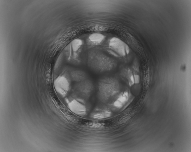 X0000115320553200911301601