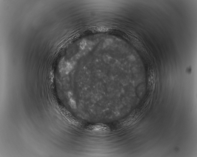 X0000115320555200911301601